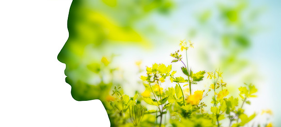 AdobeStock_206373095